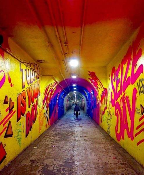 daily picdump 81 pics 38.html - 81 HD Photos | Premium Gallery 2016