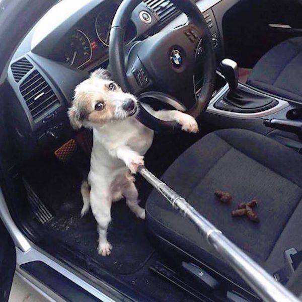 daily picdump 81 pics 38.html - 81 HD Photos | Premium Gallery 2016