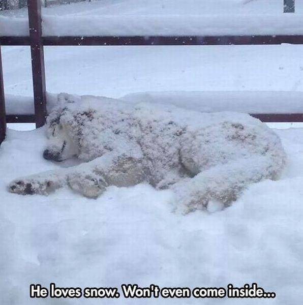 Daily Picdump