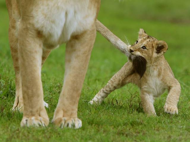 Daily Picdump