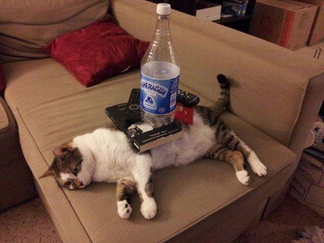daily picdump 81 pics 26.html - 81 HD Photos | Premium Gallery 2016