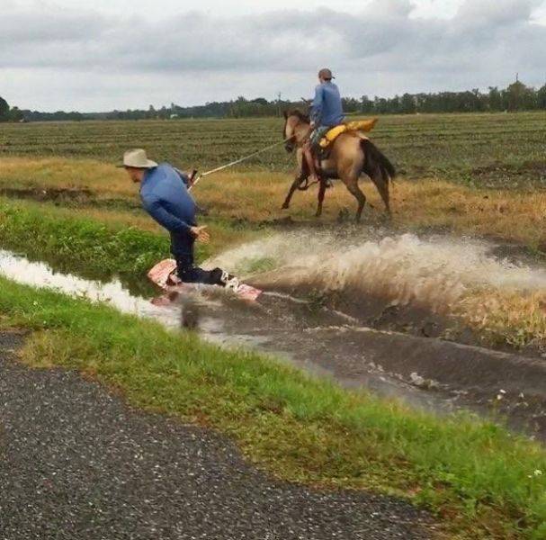 daily picdump 81 pics 26.html - 81 HD Photos | Premium Gallery 2016
