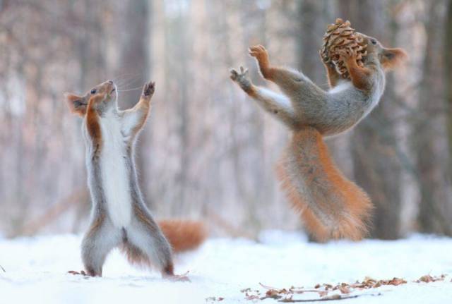 daily picdump 81 pics 26.html - 81 HD Photos | Premium Gallery 2016
