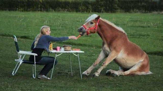 morning picdump 54 pics 3.html - 54 HD Photos | Premium Gallery 2016
