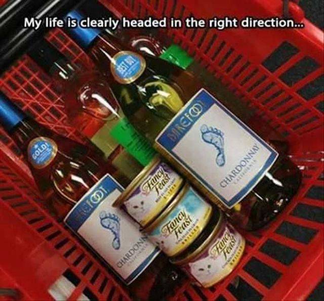 morning picdump 54 pics 3.html - 54 HD Photos | Premium Gallery 2016
