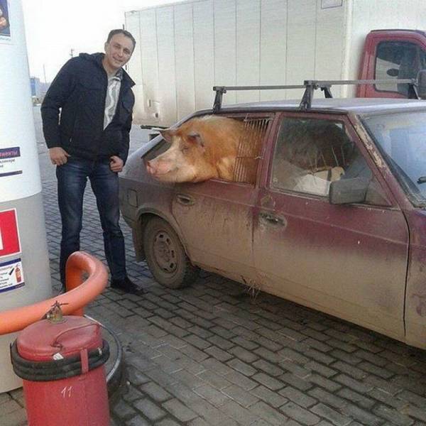 morning picdump 54 pics 3.html - 54 HD Photos | Premium Gallery 2016