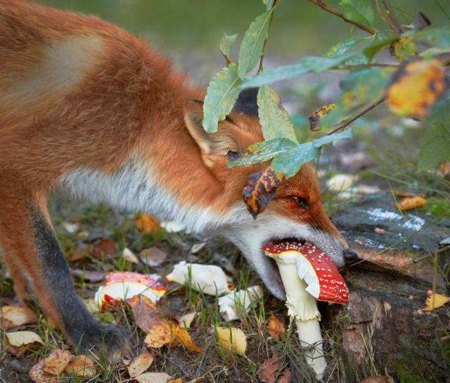 Daily Picdump