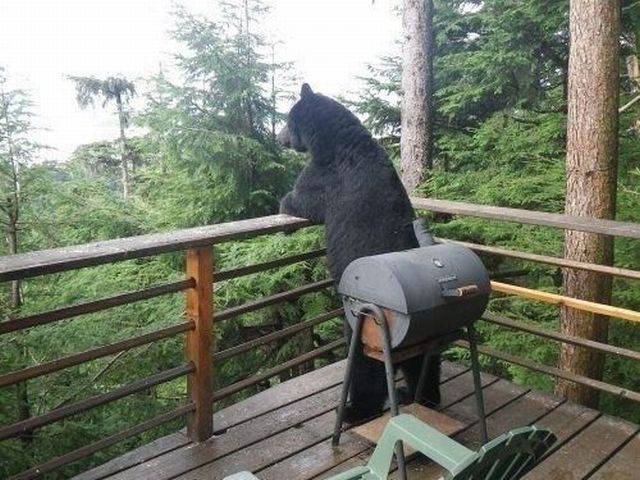daily picdump 90 pics 32.html - 90 HD Photos | Premium Gallery 2016