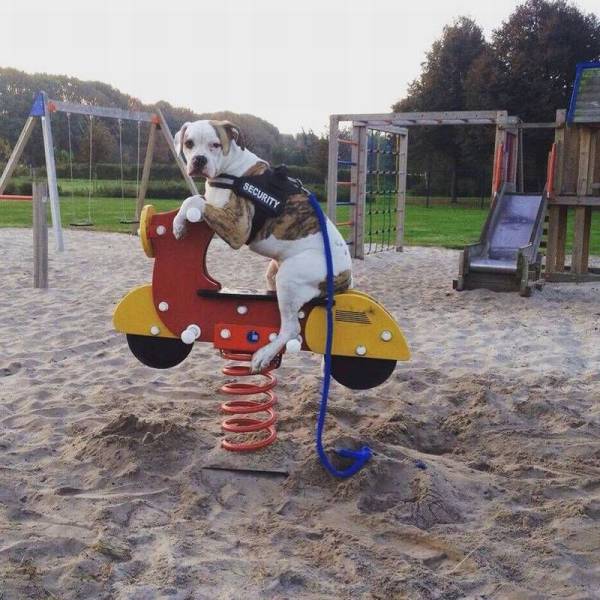 daily picdump 90 pics 32.html - 90 HD Photos | Premium Gallery 2016