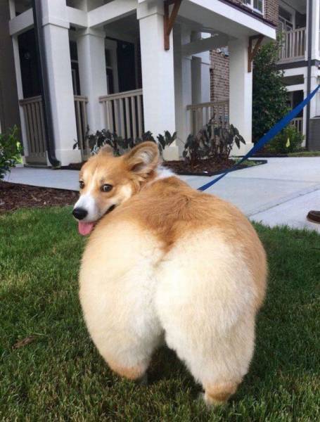 daily picdump 90 pics 32.html - 90 HD Photos | Premium Gallery 2016