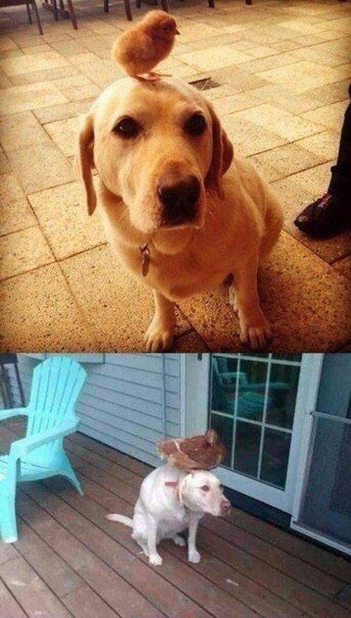 daily picdump 90 pics 32.html - 90 HD Photos | Premium Gallery 2016