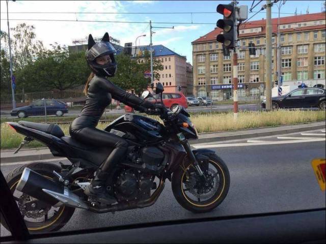 Morning Picdump