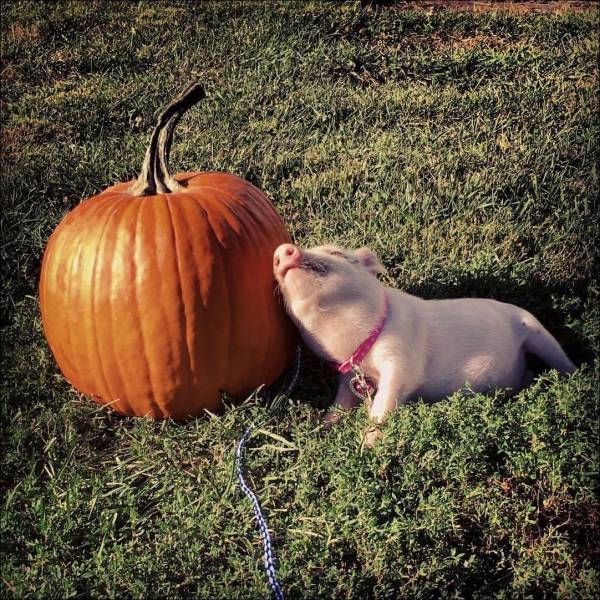 Morning Picdump