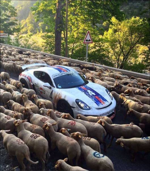 Morning Picdump