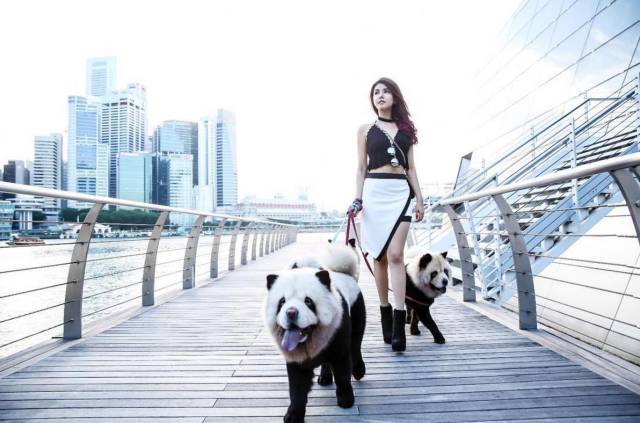 morning picdump 57 pics 20.html - 57 HD Photos | Premium Gallery 2016