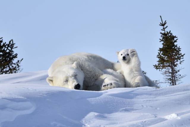 Daily Picdump [WEEKEND EDITION]