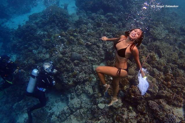 Daily Picdump [WEEKEND EDITION]