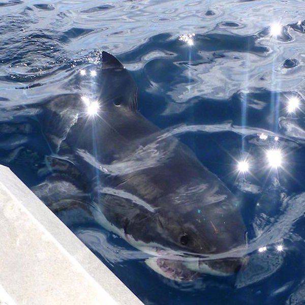 Daily Picdump [WEEKEND EDITION]