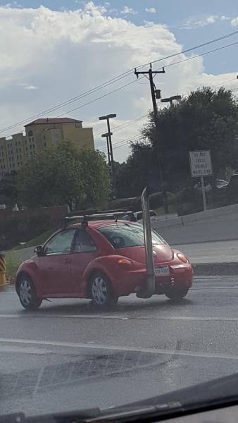 Daily Picdump [WEEKEND EDITION]