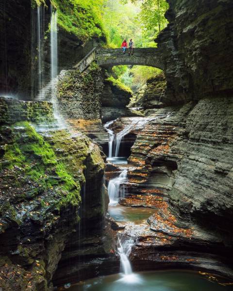 Daily Picdump [WEEKEND EDITION]