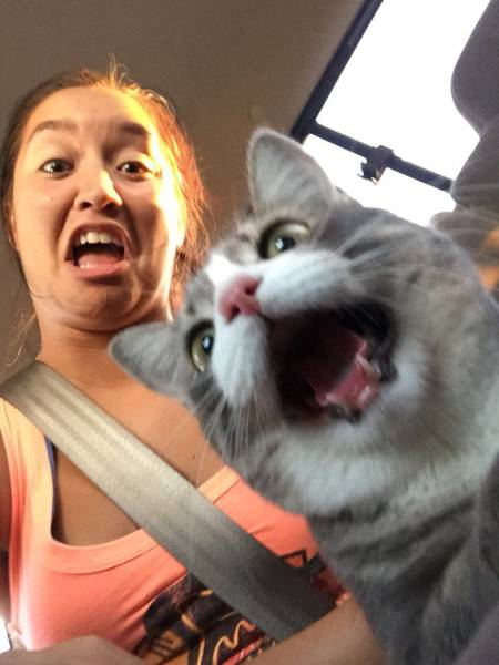 Daily Picdump [WEEKEND EDITION]