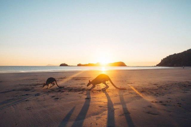 Daily Picdump [WEEKEND EDITION]