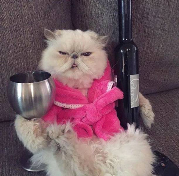 Daily Picdump [WEEKEND EDITION]