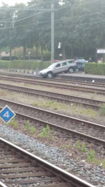 Daily Picdump [WEEKEND EDITION]