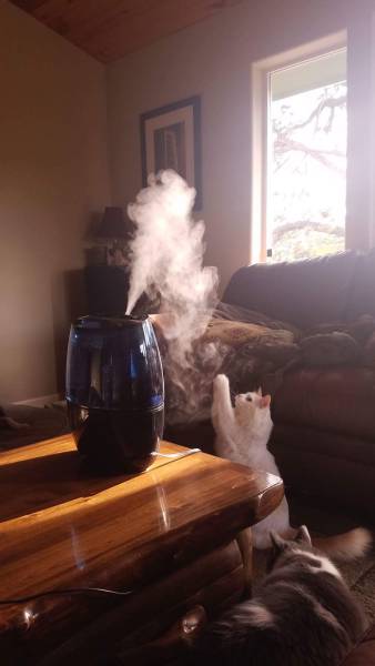 daily picdump 91 pics 43.html - 91 HD Photos | Premium Gallery 2016