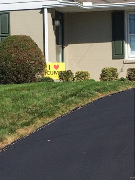 daily picdump 91 pics 43.html - 91 HD Photos | Premium Gallery 2016