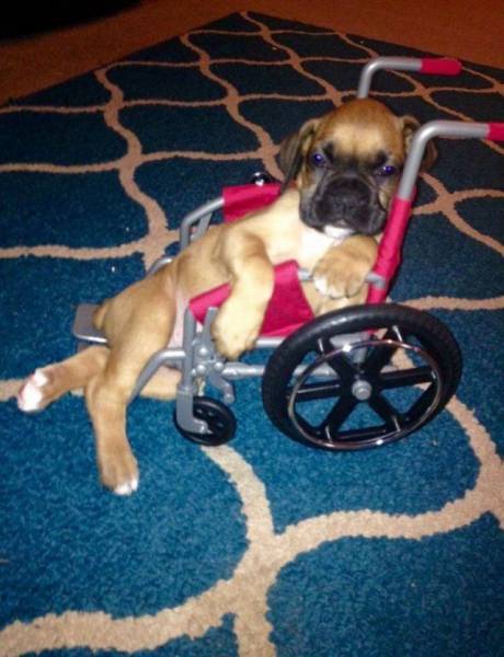 daily picdump 91 pics 43.html - 91 HD Photos | Premium Gallery 2016