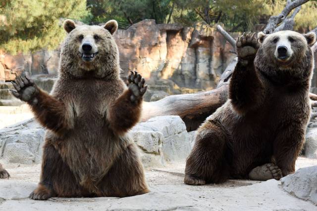 daily picdump 91 pics 43.html - 91 HD Photos | Premium Gallery 2016