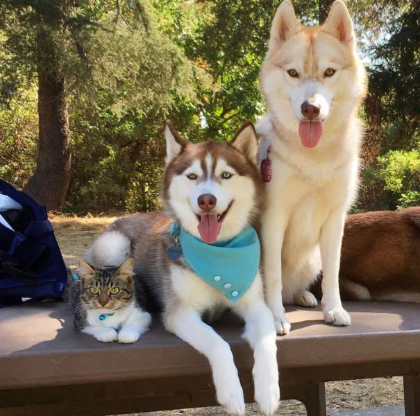 daily picdump 91 pics 43.html - 91 HD Photos | Premium Gallery 2016