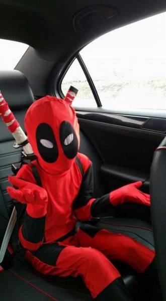 daily picdump 91 pics 43.html - 91 HD Photos | Premium Gallery 2016