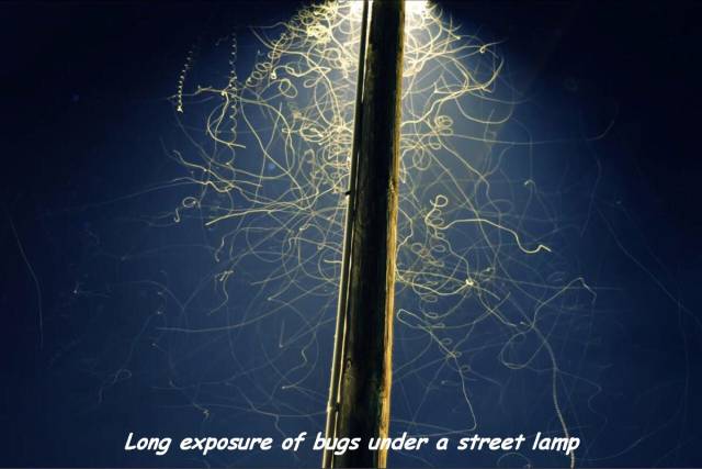 daily picdump 91 pics 43.html - 91 HD Photos | Premium Gallery 2016