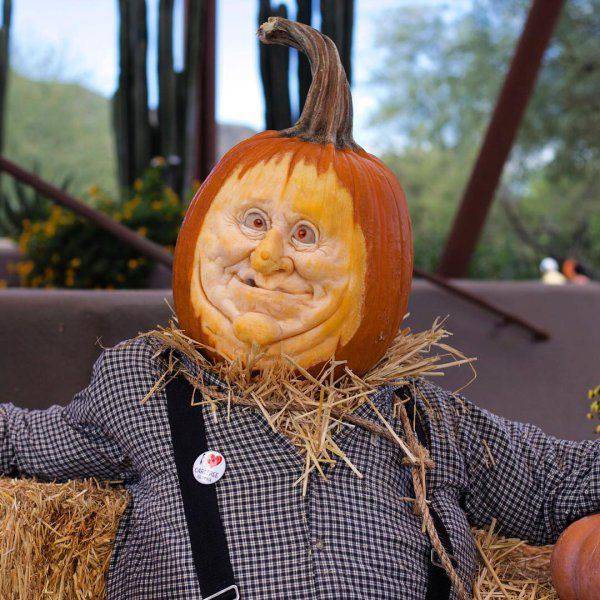 daily picdump 91 pics 43.html - 91 HD Photos | Premium Gallery 2016