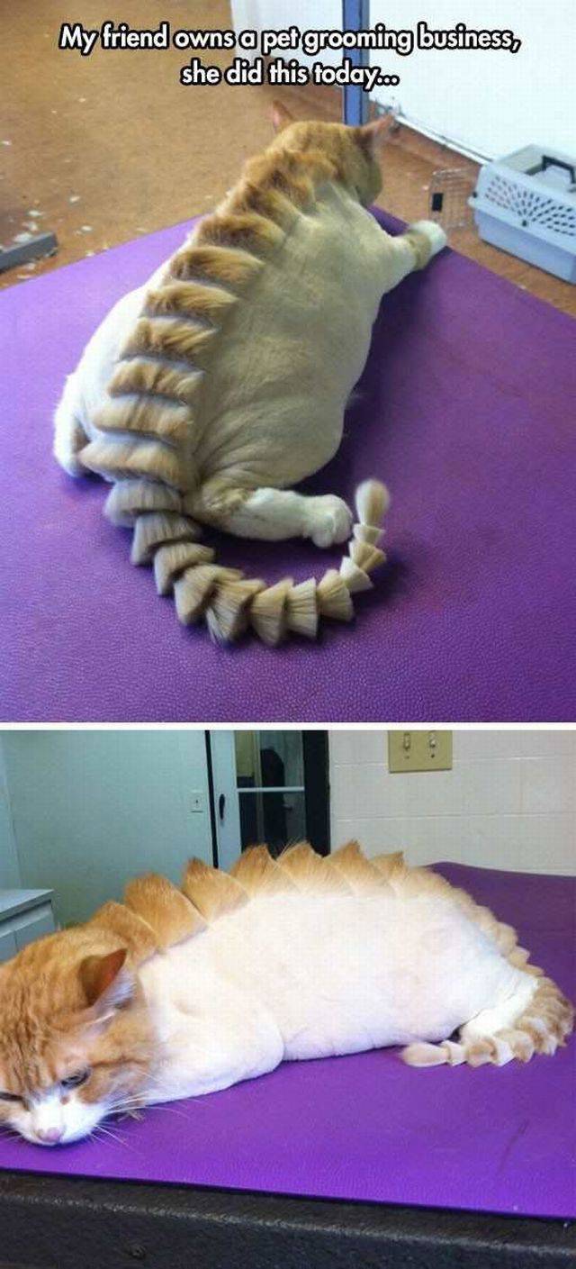 daily picdump 91 pics 43.html - 91 HD Photos | Premium Gallery 2016