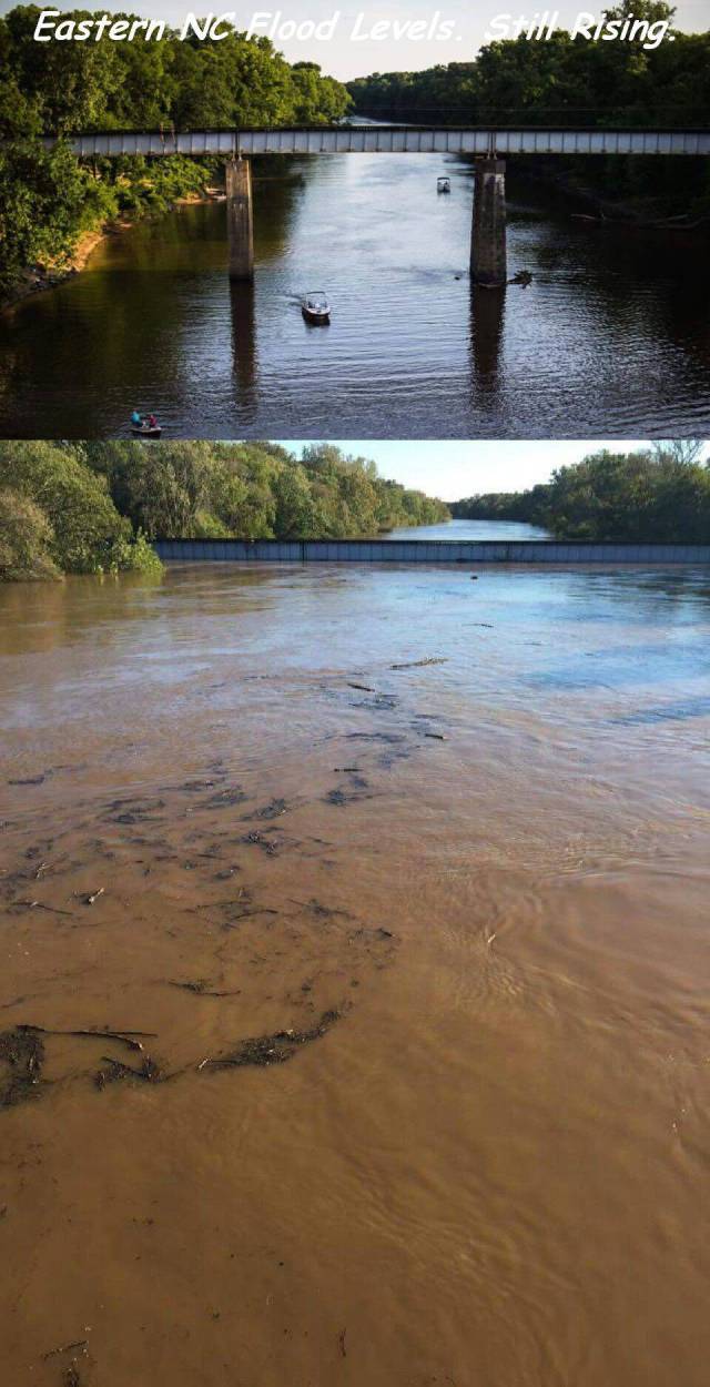 daily picdump 91 pics 43.html - 91 HD Photos | Premium Gallery 2016