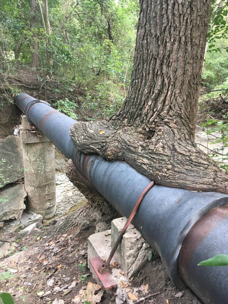 morning picdump 58 pics 17.html - 58 HD Photos | Premium Gallery 2016