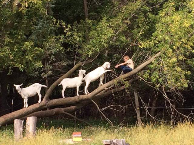 morning picdump 58 pics 17.html - 58 HD Photos | Premium Gallery 2016