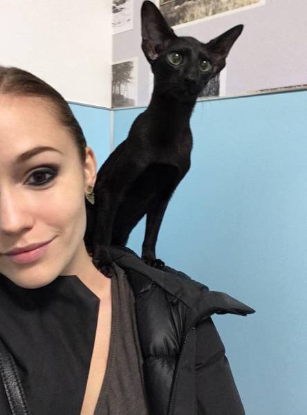 morning picdump 58 pics 17.html - 58 HD Photos | Premium Gallery 2016