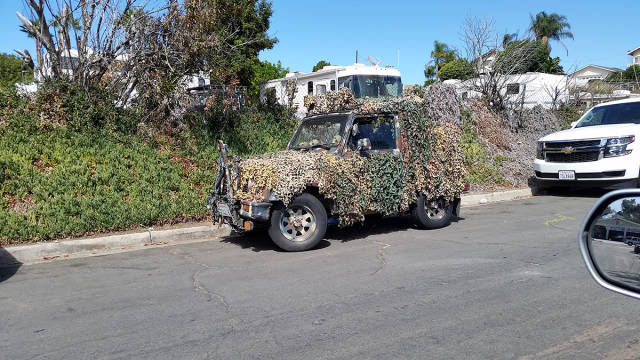 morning picdump 58 pics 17.html - 58 HD Photos | Premium Gallery 2016