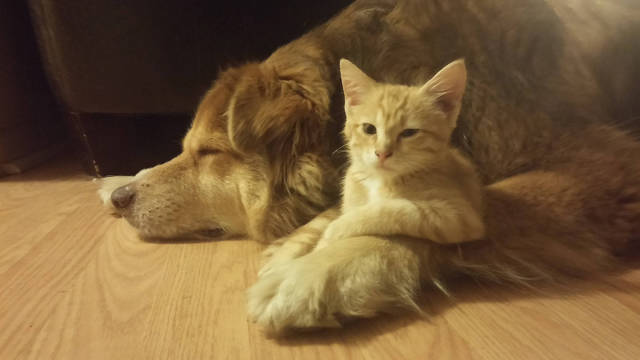 morning picdump 58 pics 17.html - 58 HD Photos | Premium Gallery 2016