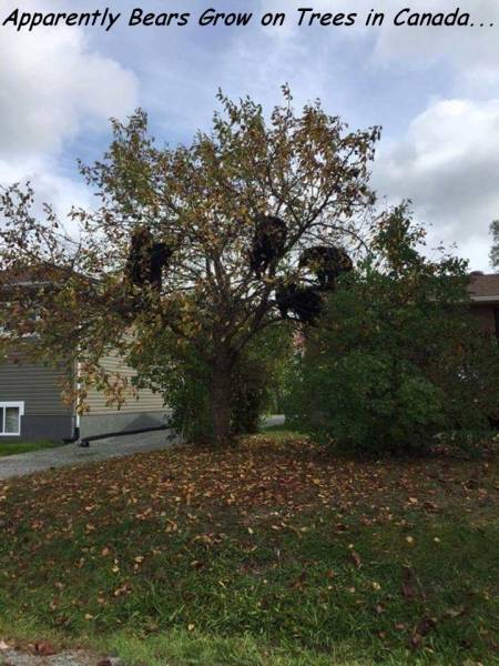 daily picdump 95 pics 10.html - 95 HD Photos | Premium Gallery 2016