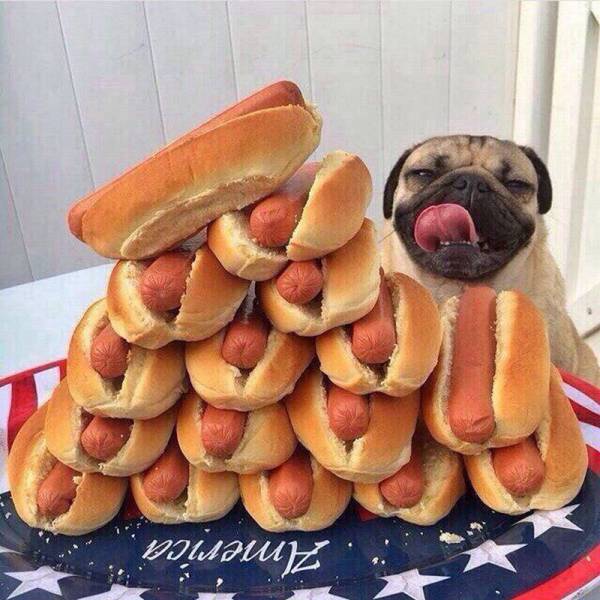 daily picdump 95 pics 10.html - 95 HD Photos | Premium Gallery 2016