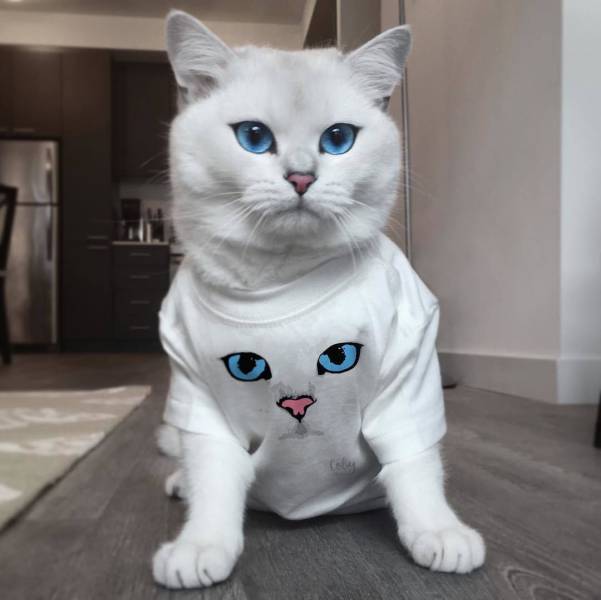 daily picdump 95 pics 10.html - 95 HD Photos | Premium Gallery 2016