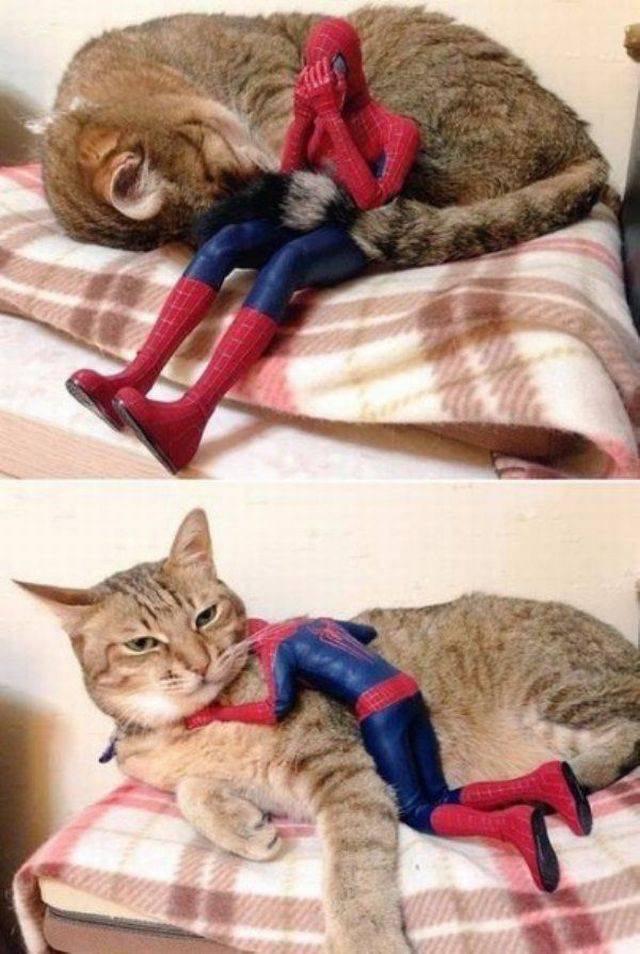 daily picdump 95 pics 10.html - 95 HD Photos | Premium Gallery 2016