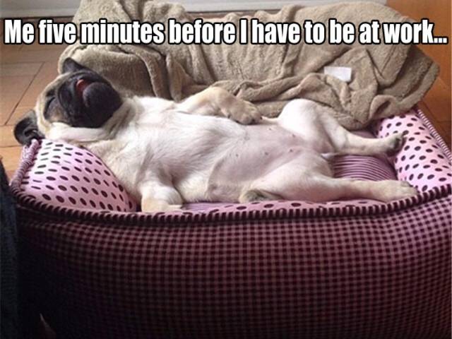 funny picdump 50 pics 20.html - 50 HD Photos | Premium Gallery 2016