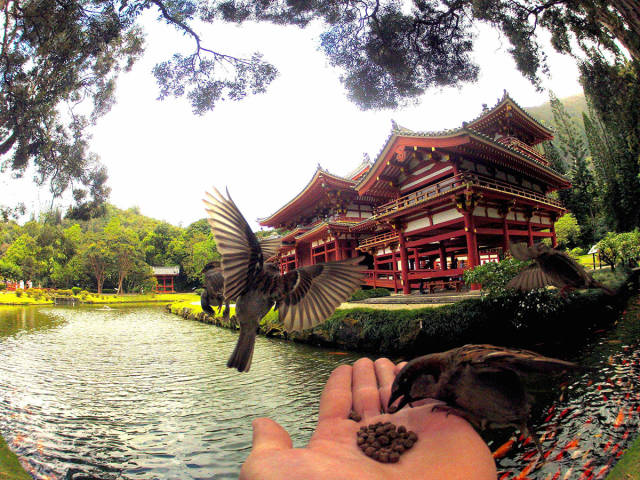 morning picdump 51 pics 12.html - 51 HD Photos | Premium Gallery 2016