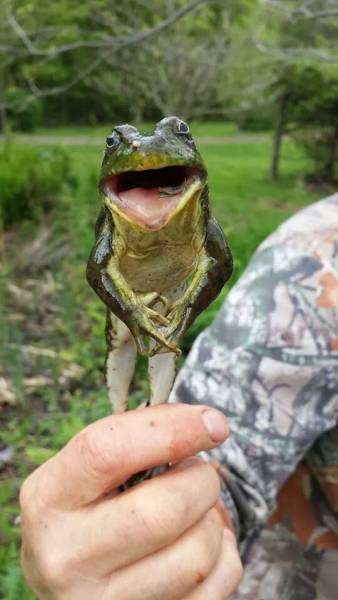 morning picdump 51 pics 12.html - 51 HD Photos | Premium Gallery 2016